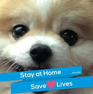 Meet your Posher, Rhonda